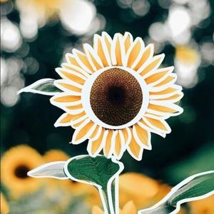 Meet your Posher, Gladymar